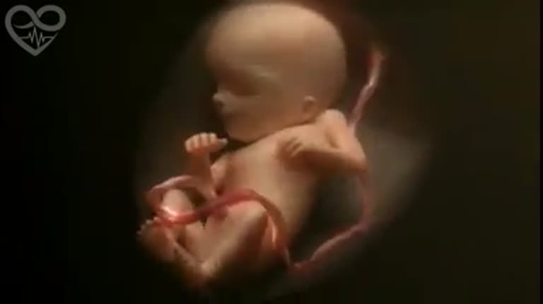 La capacidad del ser humano para desarrollarse