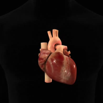 VIDEO CORAZON 2
