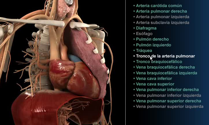 VIDEO CORAZON 3