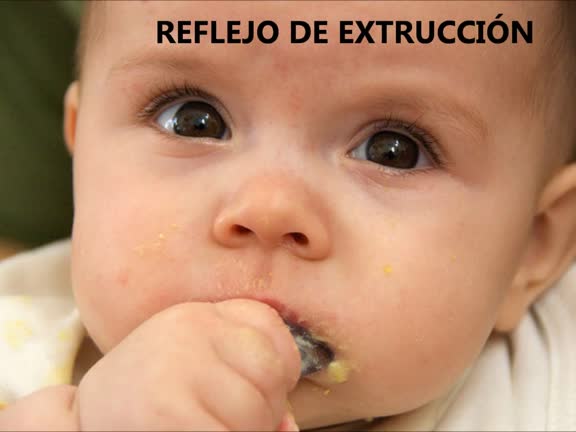 VIDEOS DE LOS REFLEJOS