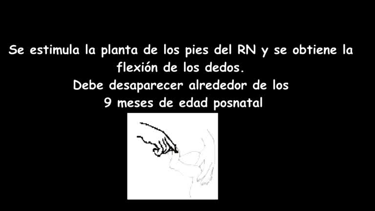 VIDEOS DE LOS REFLEJOS