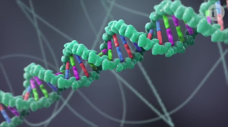 VIDEO NATURE CRISPR