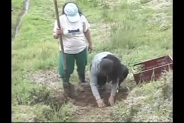 videos del tema 1