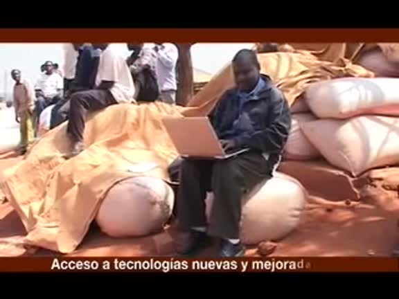 videos tema 7