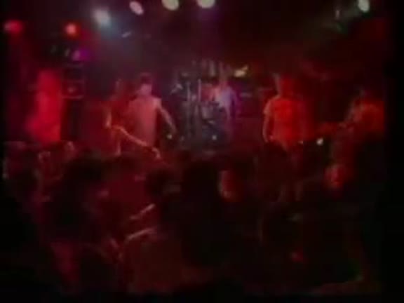 videos del tema 3