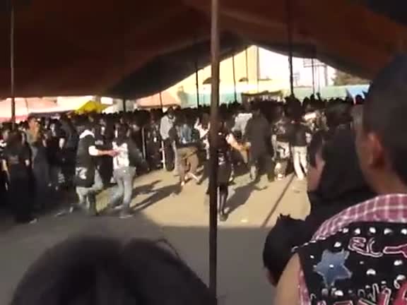 videos del tema 4