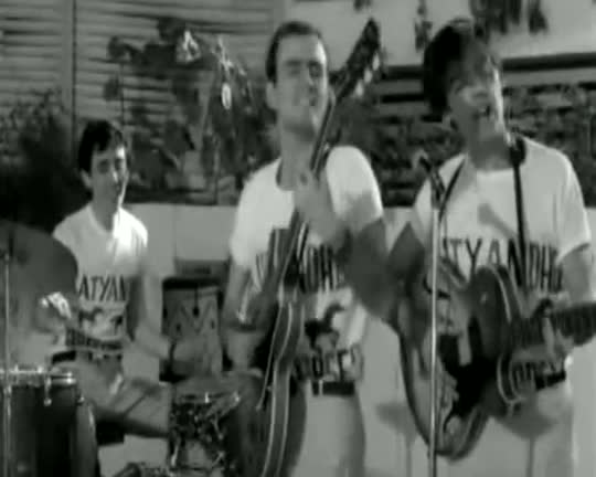 videos tema 5