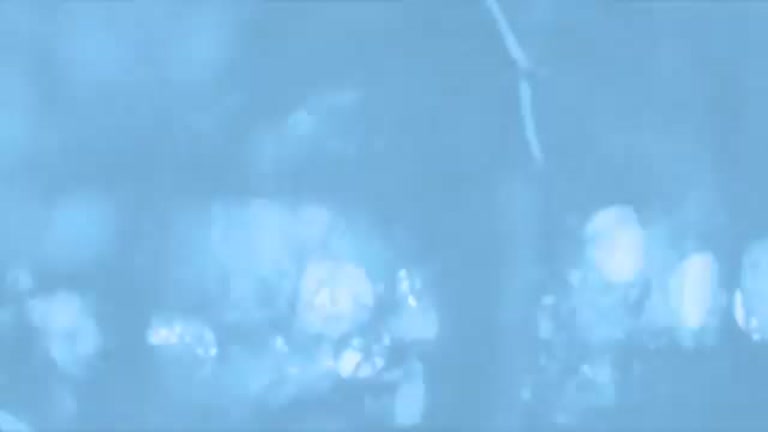 videos del tema 6